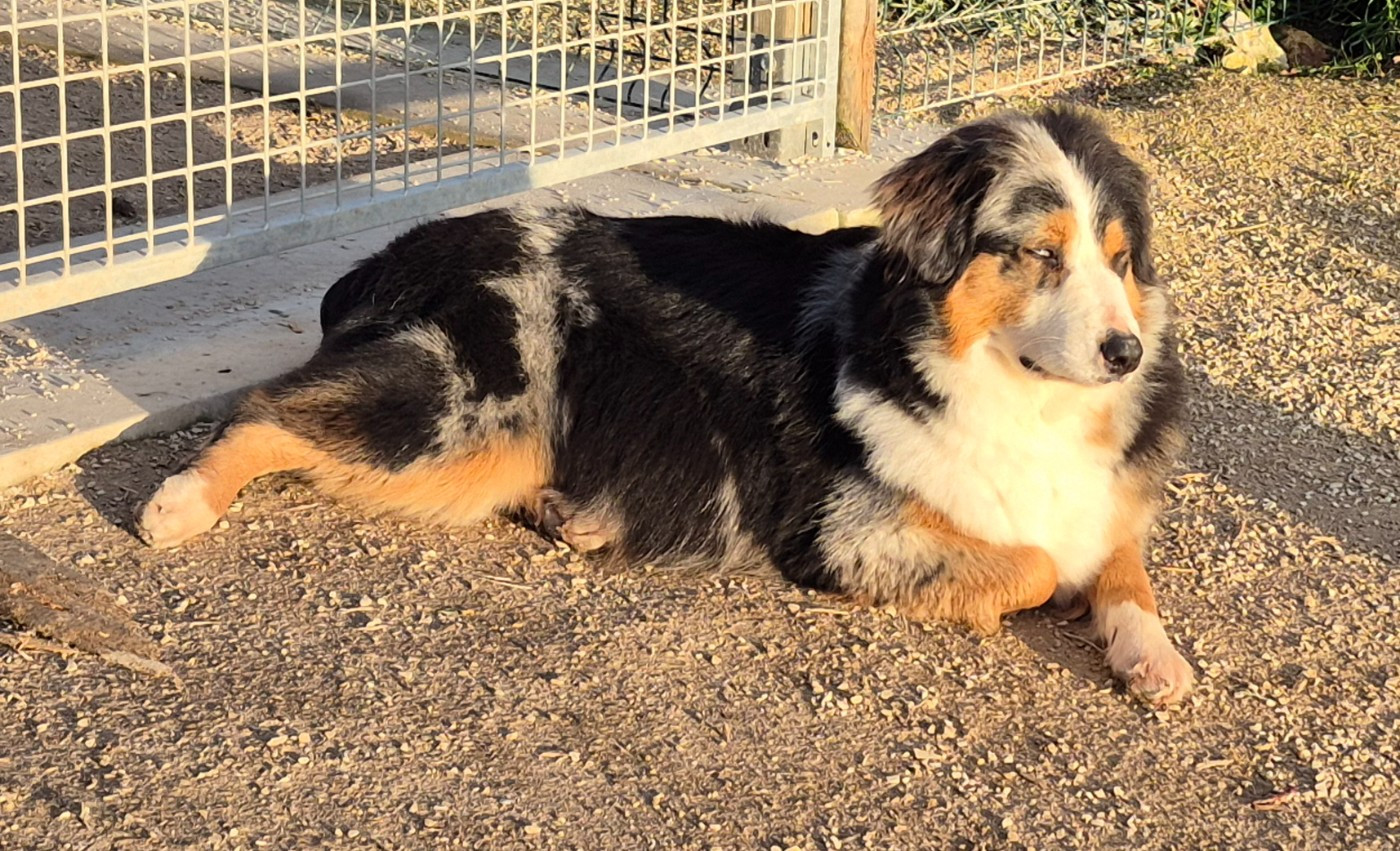 U'ohana Des Chrysalides Arc En Ciel